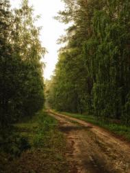 Олександрівка Друга з panoramio.com