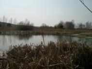 Водяне - Останні фото