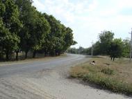 Кудашівка - Останні фото