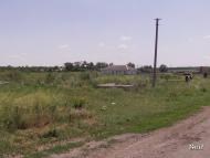 Соснівка з panoramio.com