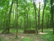 Володимирівка - Останні фото