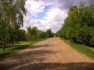 Соснівка з panoramio.com