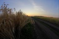 Берека з panoramio.com - Берека