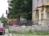 Мала Тур'я з panoramio.com