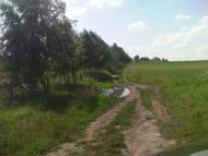 Темногайці з panoramio.com