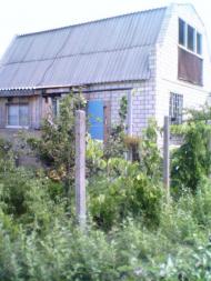 Білогрудове з panoramio.com