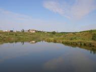 Половинчик з panoramio.com