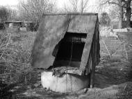 Пичугине з panoramio.com