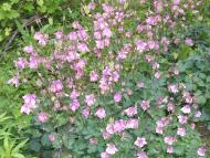 Гвоздів з panoramio.com