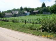 Пшеничники з panoramio.com