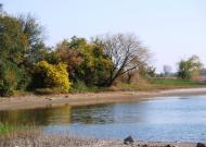 Басань з panoramio.com