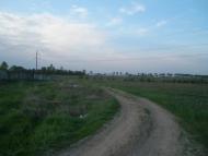 Княжичі з panoramio.com