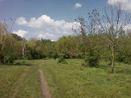 Агрономія з panoramio.com