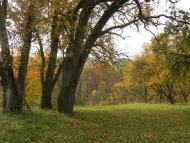 Великий Ключів з panoramio.com