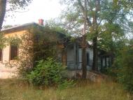 Феневичі - Останні фото