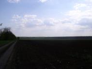 Райське з panoramio.com