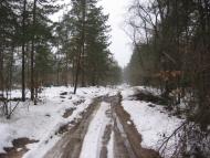 Зазим'я з panoramio.com