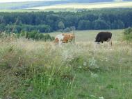 Валки з panoramio.com