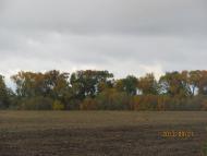 Пронозівка з panoramio.com