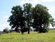 Острівці з panoramio.com