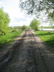 Любимівка з panoramio.com