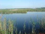 Піщане з panoramio.com