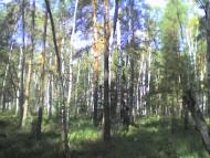 Варварівка з panoramio.com