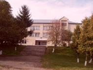 Ремезівці з panoramio.com