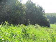 Горошівці з panoramio.com