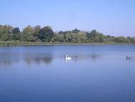 Самгородок з panoramio.com