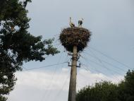 Чайківка з panoramio.com