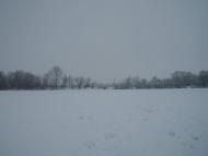 Печище з panoramio.com