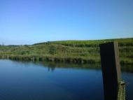 Половинчик з panoramio.com