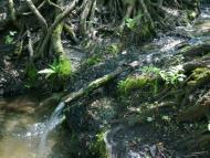 Червоний Оскіл з panoramio.com - Червоний Оскіл