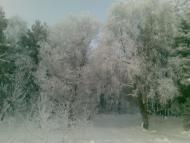 Тишів з panoramio.com