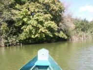 Андріївка з panoramio.com