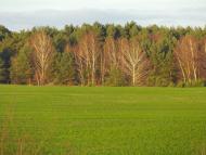 Мощена з panoramio.com