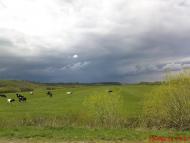 Вариводки з panoramio.com