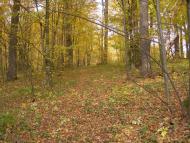 Великий Ключів з panoramio.com