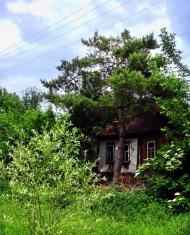 Гур'їв Козачок з panoramio.com