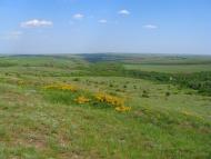 Бугаївка з panoramio.com