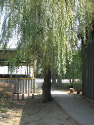 Ковське з panoramio.com