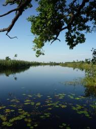 Бучин з panoramio.com