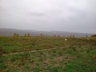 Крутеньки з panoramio.com