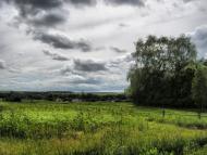 Рогощі з panoramio.com