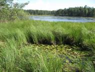 Варварівка з panoramio.com