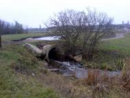 Агрономія з panoramio.com