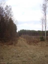 Климентовичі з panoramio.com