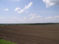 Райське з panoramio.com