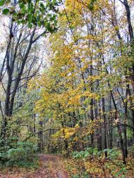 Заострів з panoramio.com